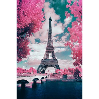 Diamond Painting Art Πύργος Άιφελ με ροζ λουλούδια 20cm x 30cm