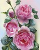 Diamond Painting Art Ροζ Λουλούδια  20cm x 30cm 20X30cm