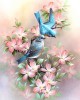 Diamond Painting Art Μπλε πουλάκια σε ροζ  λουλούδια 20cm x 30cm 20X30cm
