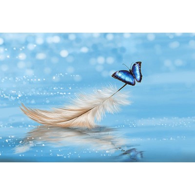 Diamond Painting Art Λευκό Φτερό στο νερό με μια γαλάζια πεταλούδα 20cm x 30cm