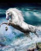 Diamond Painting Art Λευκό Άλογο που κάνει άλμα 20cm x 30cm 20X30cm