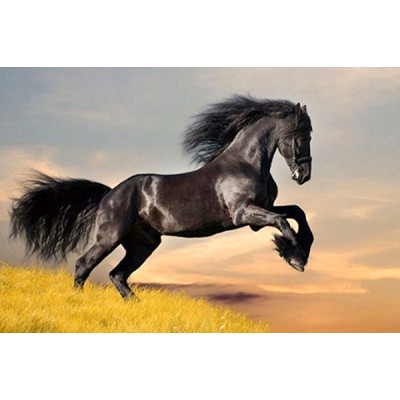 Diamond Painting Art Μαύρο Άλογο 20cm x 30cm