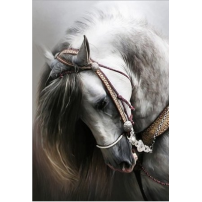 Diamond Painting Art Άσπρο άλογο 20cm x 30cm
