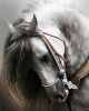 Diamond Painting Art Άσπρο άλογο 20cm x 30cm 20X30cm