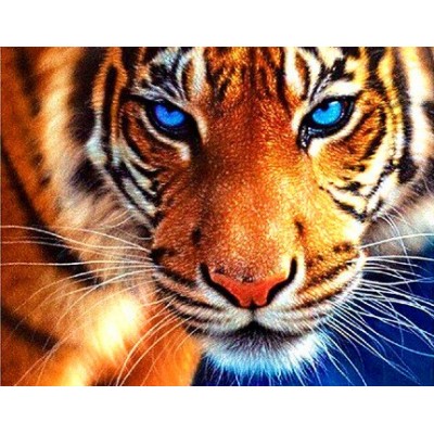 Diamond Painting Art Πρόσωπο Τίγρη με Γαλάζια Μάτια 20cm x 30cm