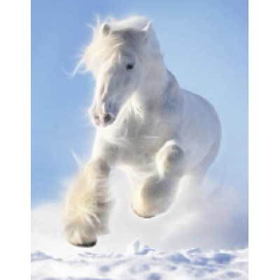 Diamond Painting Art Λευκό Άλογο που τρέχει 30cm X 40cm