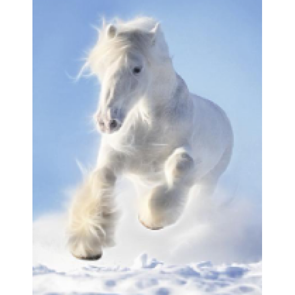 Diamond Painting Art Λευκό Άλογο που τρέχει 30cm X 40cm 40x30cm