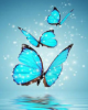 Diamond Painting Art Πεταλούδες μπλε 40cm X 30cm 40x30cm