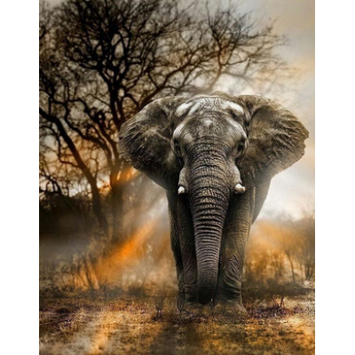 Diamond Painting Art Ελέφαντας με φόντο δέντρο 30cm x 30cm