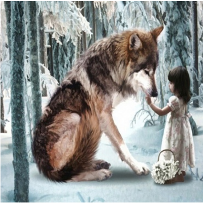 Diamond Painting Art Λύκος με μικρο κοριτσάκι 30cm x 30cm