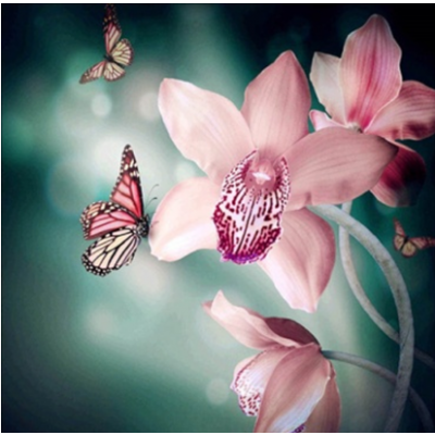 Diamond Painting Art Ροζ Λουλούδια με πεταλούδες 30cm x 30cm