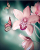 Diamond Painting Art Ροζ Λουλούδια με πεταλούδες 30cm x 30cm 30x30cm