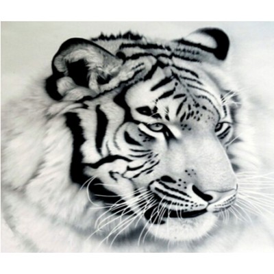 Diamond Painting Art Τίγρης Ασπρόμαυρη Πορτρέτο 30cm x 30cm
