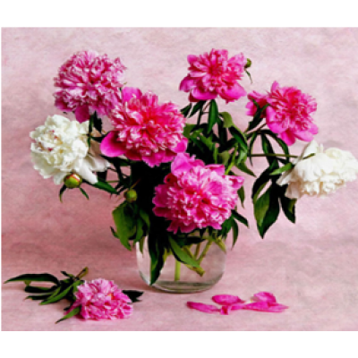 Diamond Painting Art Ροζ & Λευκά λουλούδια σε βάζο 30cm x 30cm