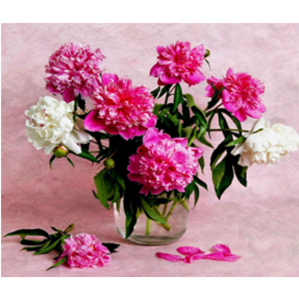 Diamond Painting Art Ροζ & Λευκά λουλούδια σε βάζο 30cm x 30cm 30x30cm